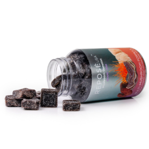 Multi-Mushroom Multivitamin Gummy